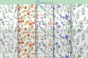 Native California wildflowers, an Illustration by FITALARTSNEDIGI (Thumbnail 4 of 8)