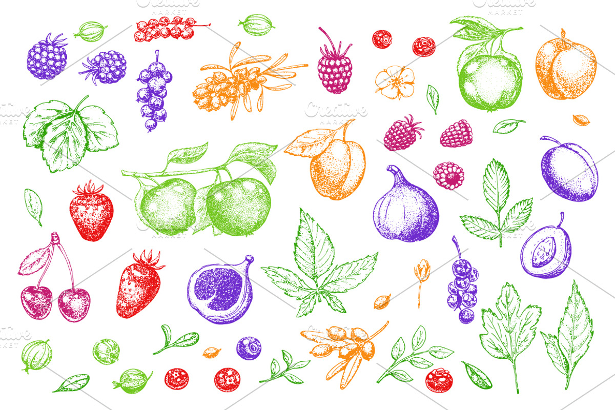 Hand drawn vegetables and fruit, a Decorative Illustration by Ulafant (Photo 20 of 25)