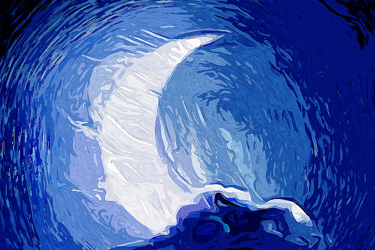 Impressionism FX - Photoshop Plugin, a Plug-in Add-On by Giallo (Photo 20 of 25)