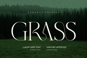 Grass - Serif Font, a Serif Font by Alpaprana (Thumbnail 1 of 10)