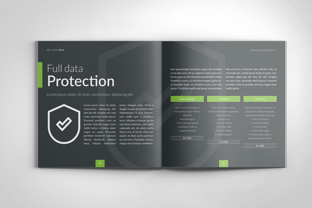 Software and Solutions Brochure, a Brochure Template by buttonpl (Photo 3 of 7)