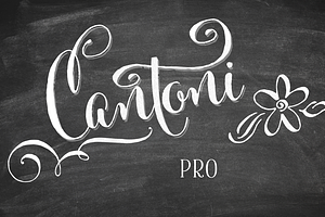 Cantoni Pro Hand Lettered Font