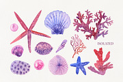 Sea Marine Underwater Watercolor, an Animal Illustration by YarovaArt (Thumbnail 2 of 19)