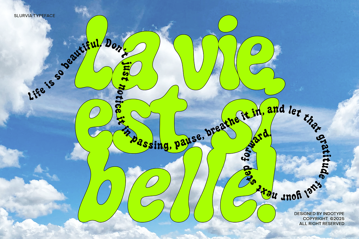 Slurvia - Display Liquid Font, a Font by Indotype Foundry (Photo 9 of 10)