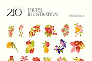 Summer Fruits | Wall Art Collection, an Object Graphic by Leleka.Store (Thumbnail 14 of 20)