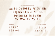Aurine Modern Display Serif Font, a Serif Font by Rasio Studio (Thumbnail 2 of 8)