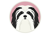 Dog breeds Havanese Dog, an Animal Illustration by Nenilkime (Thumbnail 3 of 3)