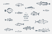 The Saltwater Fish Collection, an Animal Illustration by dicreate (Thumbnail 2 of 6)