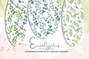 Watercolor Eucalyptus SET, a Decorative Illustration by TanataDesign (Thumbnail 4 of 16)