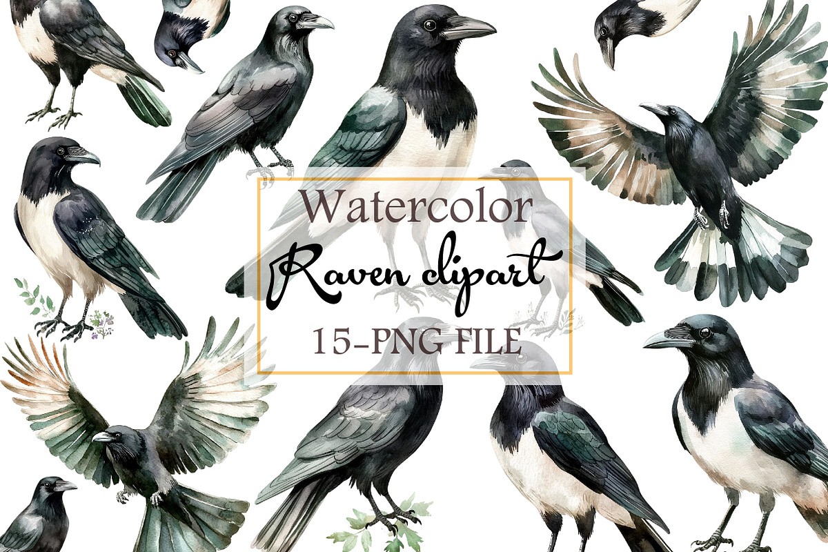 Raven watercolor clipart, an Illustration by Libby Wishes (Photo 1 of 4)