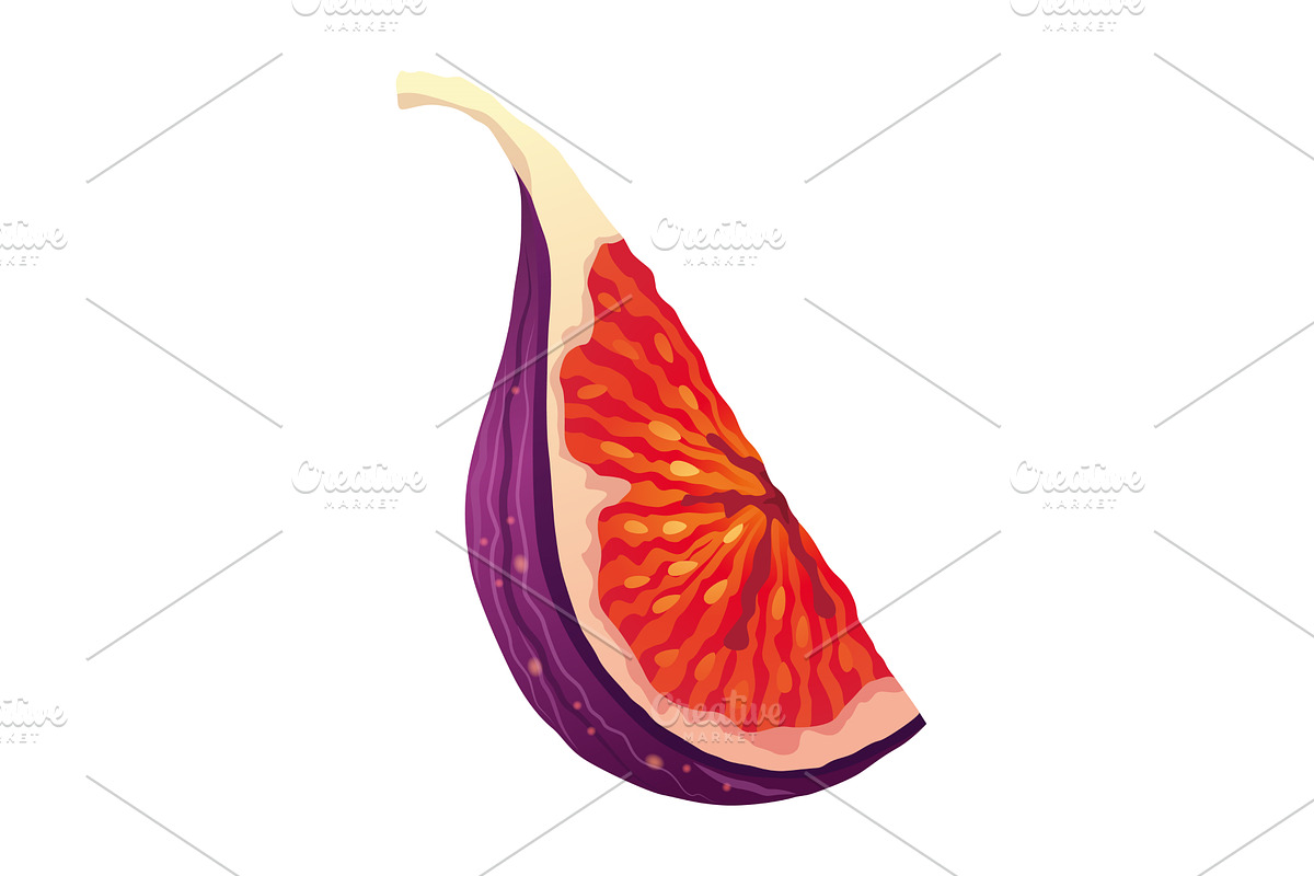 Fig Fruit Cut with Thin Skin and, a Food Illustration by the8monkey