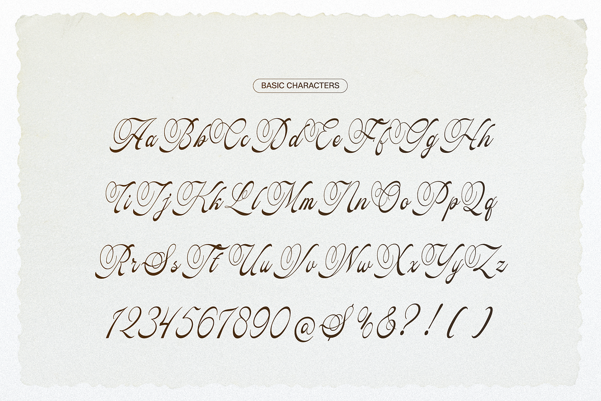 Pitholica Delicate Classic Script, a Script Font by gracetype_studio (Photo 10 of 11)