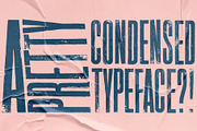 Vienna Woodtype, a Sans Serif Font by XTOPH - Fonts (Thumbnail 4 of 6)