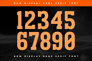 Megolan New Display Sans Serif Font, a Sans Serif Font by Storytype Studio (Thumbnail 13 of 15)