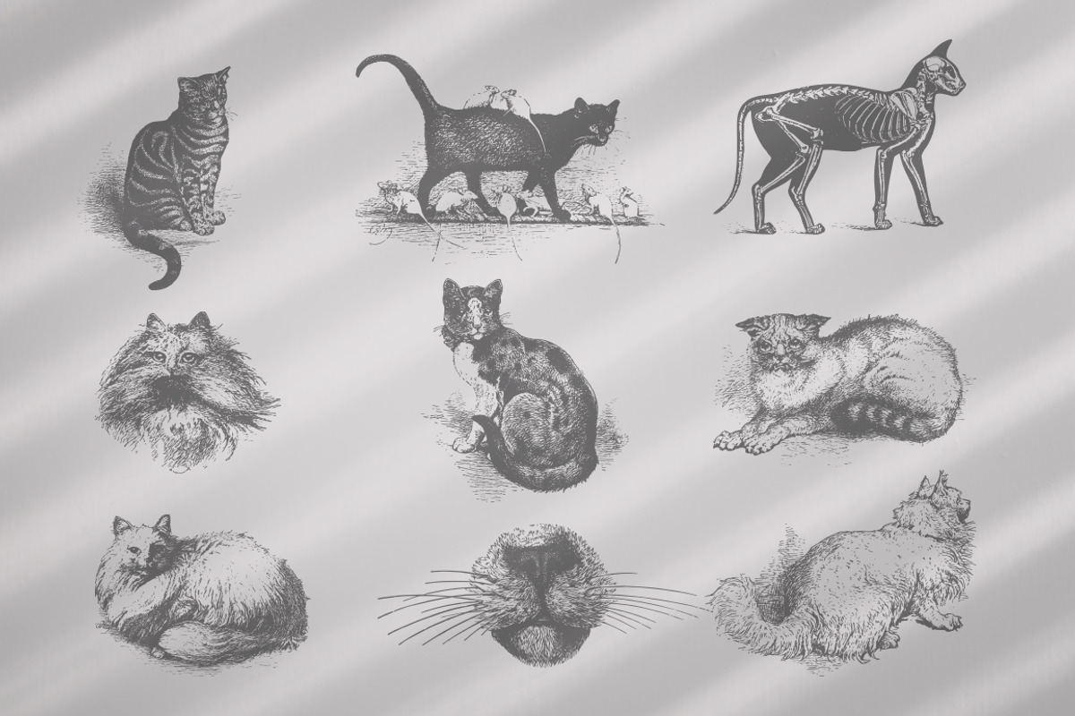 Vintage Bundle 2500+ Free Update, an Animal Illustration by Retro Machine (Photo 72 of 170)