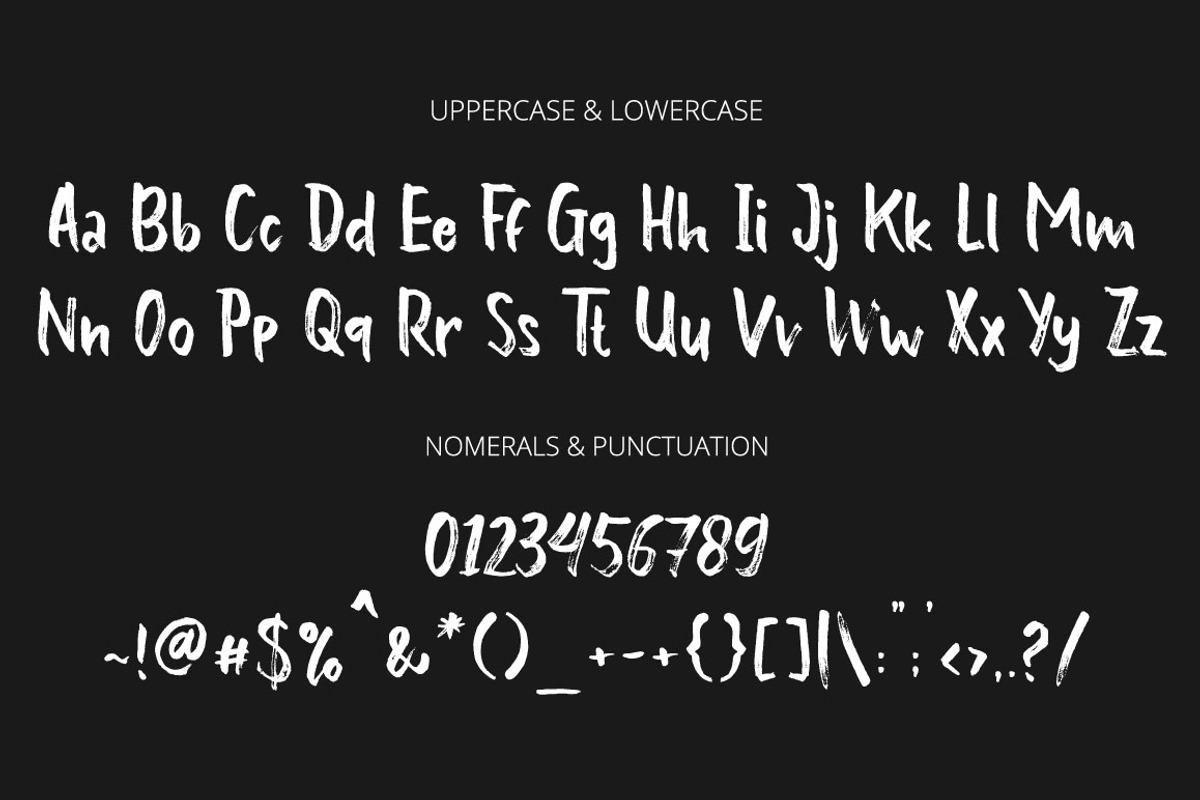 The Winter Brush, a Script Font by MSG Studio (Photo 5 of 7)