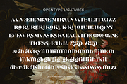 La Centa Sweetlo, a Serif Font by Siwox Studios (Thumbnail 23 of 24)