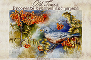Old Times- Procreate Vintage Brushes, a Brush Add-On by BooStudio (Thumbnail 1 of 10)