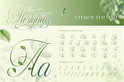 Herlyna, a Script Font by Burntilldead (Thumbnail 2 of 12)