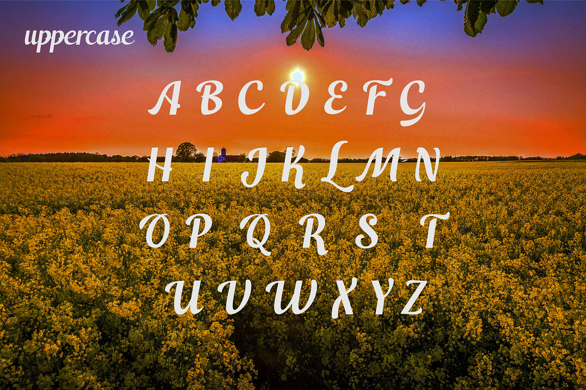 Switzerland, a Script Font by Funtype (Photo 8 of 14)