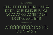Chermy, a Serif Font by Zaloma Studio (Thumbnail 16 of 17)