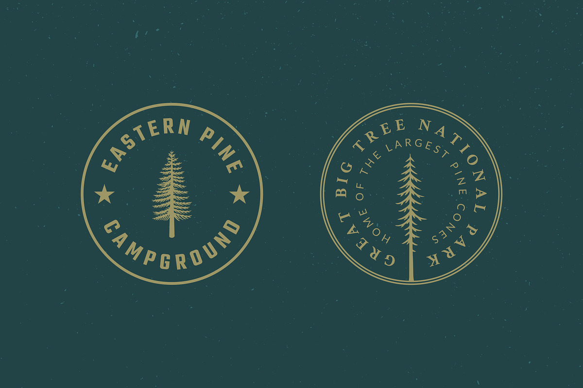 Vintage Tree Badge Logos, a Branding & Logo Template by Build Interactive (Photo 2 of 8)