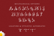 Aringtone a Modern Calligraphy Font, a Script Font by Fatmawati (Thumbnail 11 of 12)