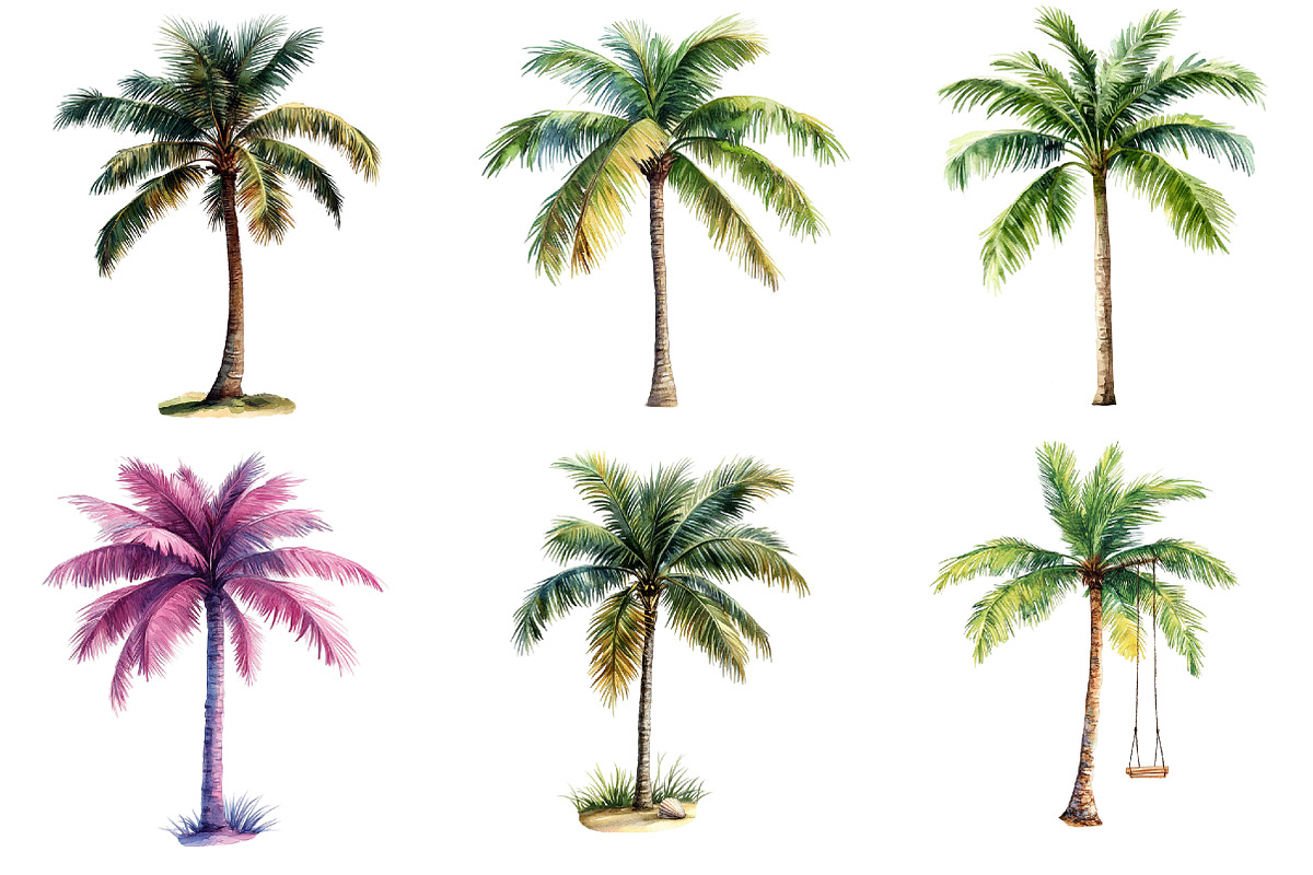 Tropical Palm Tree Clipart Bundle, an Illustration by Pixels.Craft (Photo 3 of 8)