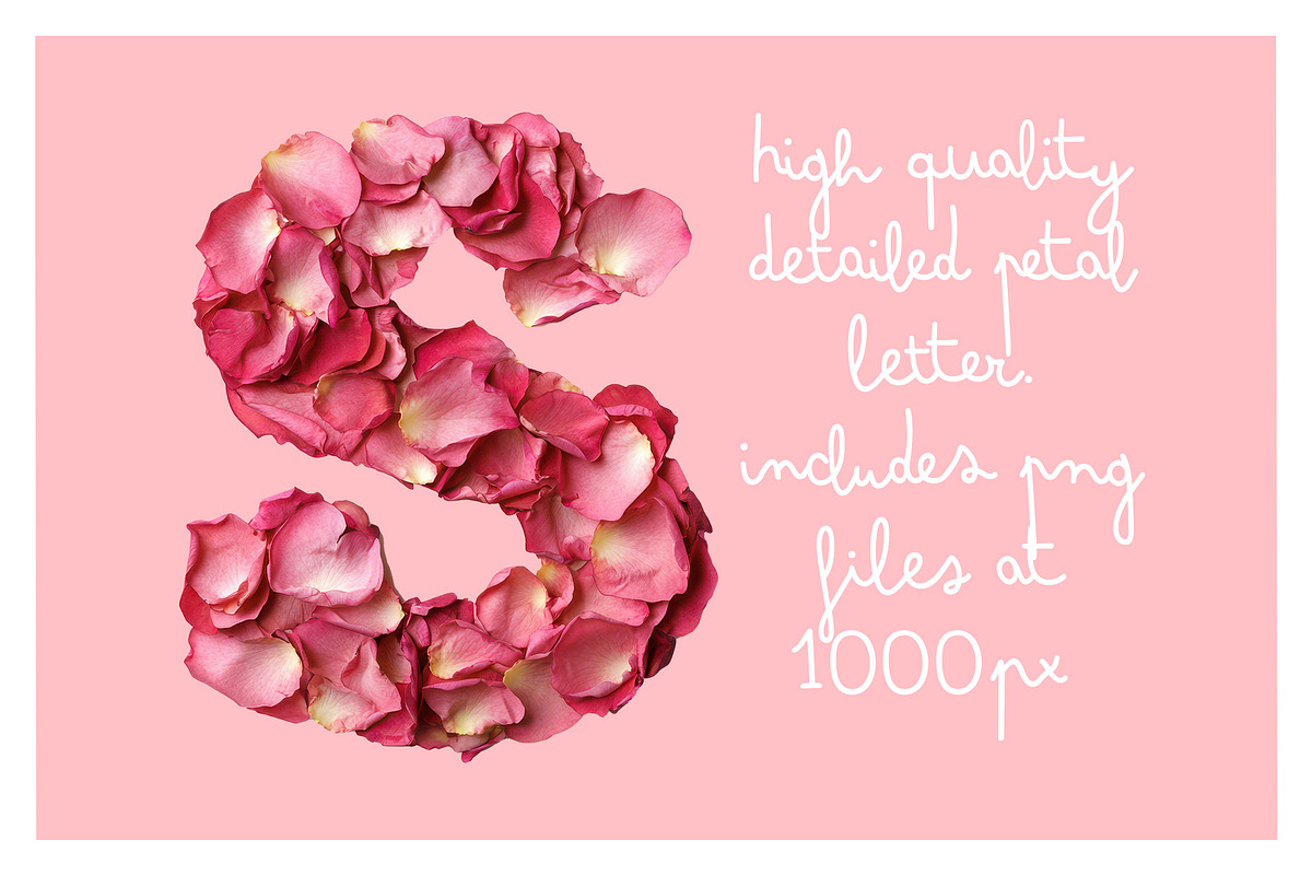 Petal OTF Font, a Font by ink drop (Photo 5 of 7)