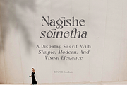 Nagishe Soinetha Moderen & Elegance, a Serif Font by BOOSH Studio (Thumbnail 2 of 13)