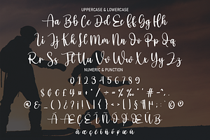 Activity Script Font