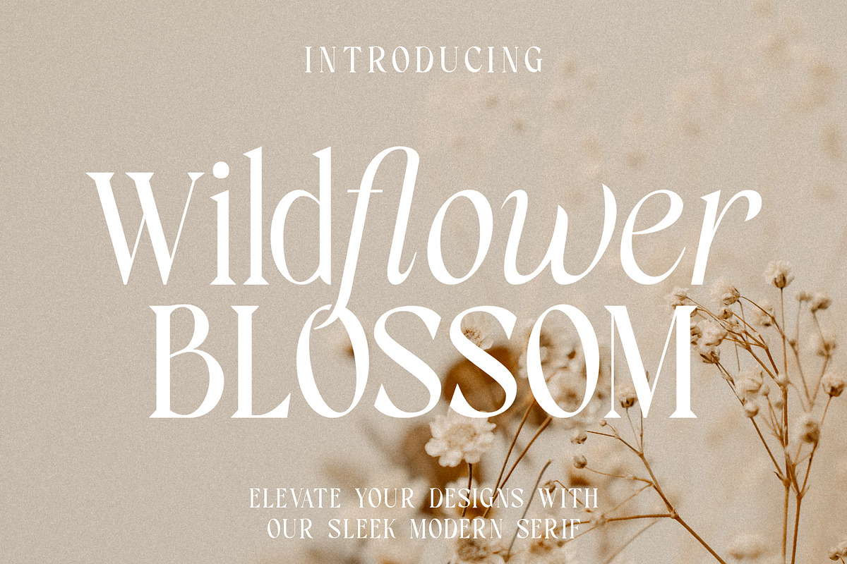 Wildflower Blossom - Modern Serif, a Serif Font by RagamKata (Photo 1 of 10)
