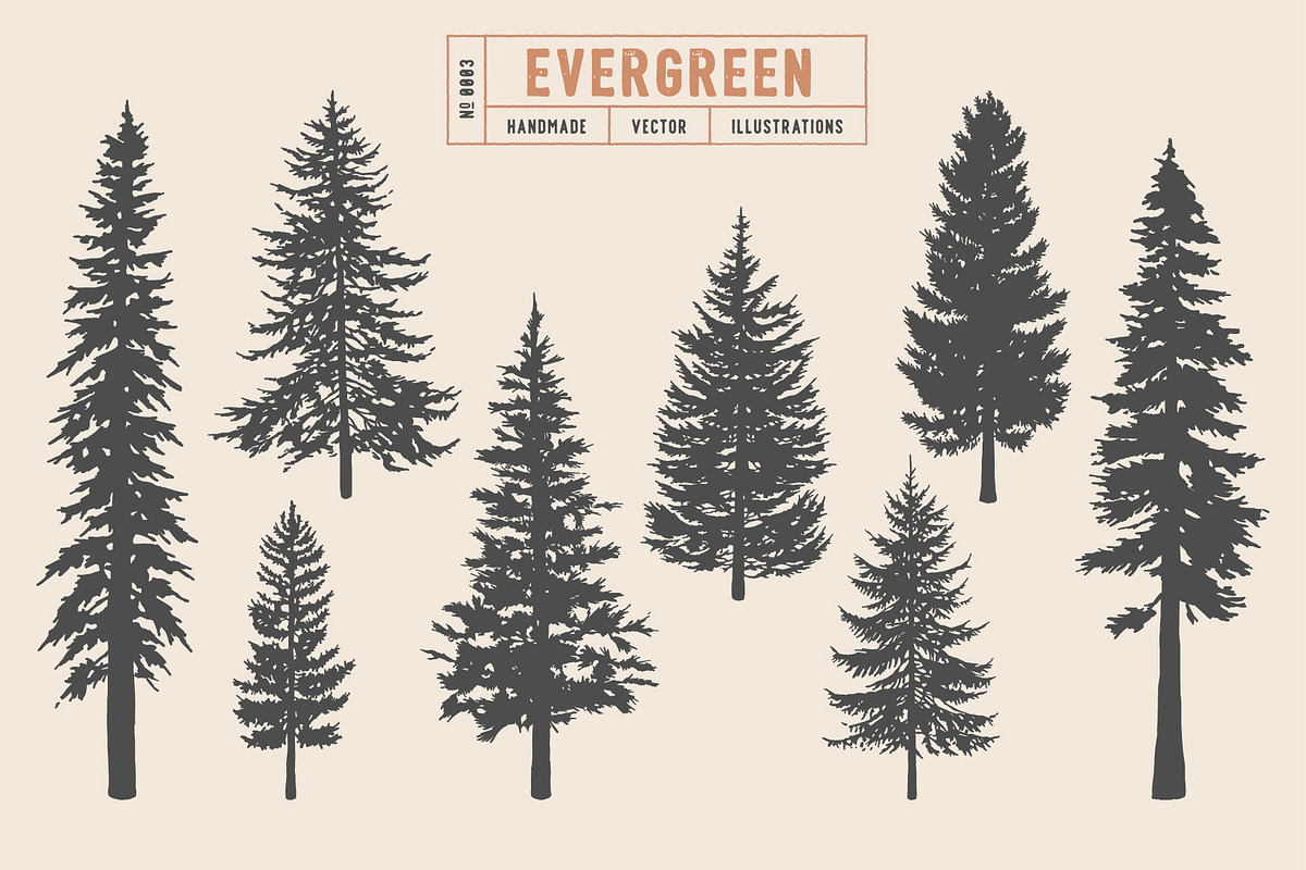 Woodland Tree Set | Illustrations, an Illustration by Max Lockwood (Photo 4 of 6)
