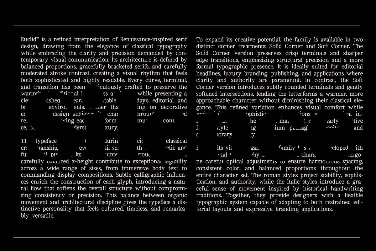 Euclid Serif | 180 Font Files, a Serif Font by Ws Studio (Photo 4 of 12)