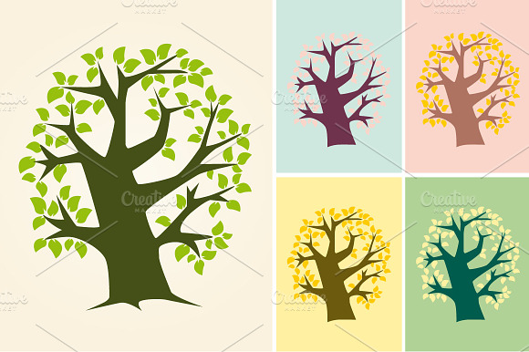 Big Tree Four Seasons