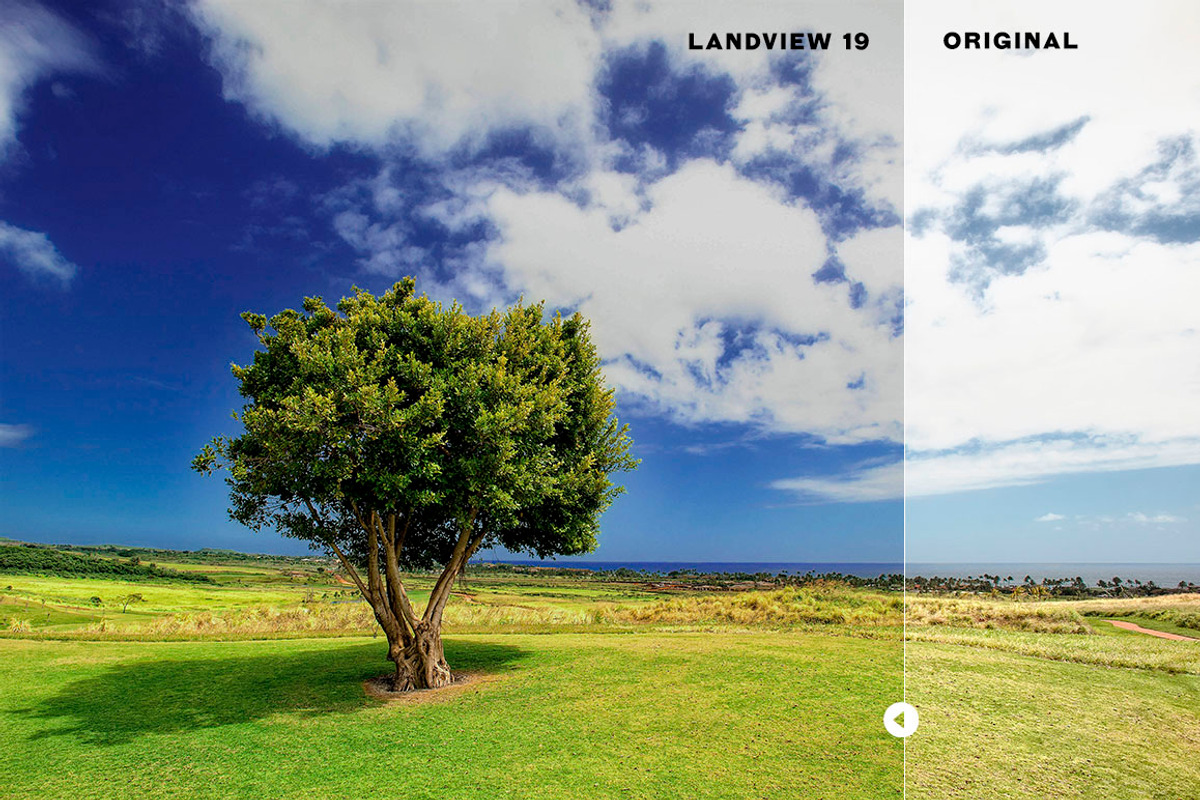 700+ Lightroom Presets Bundle, an Action Add-On by Art Zooted (Photo 27 of 39)