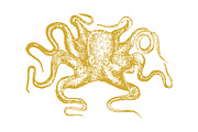 10 Vector Ocean Illustration Pack, an Illustration by Theresa Barba (Thumbnail 3 of 11)