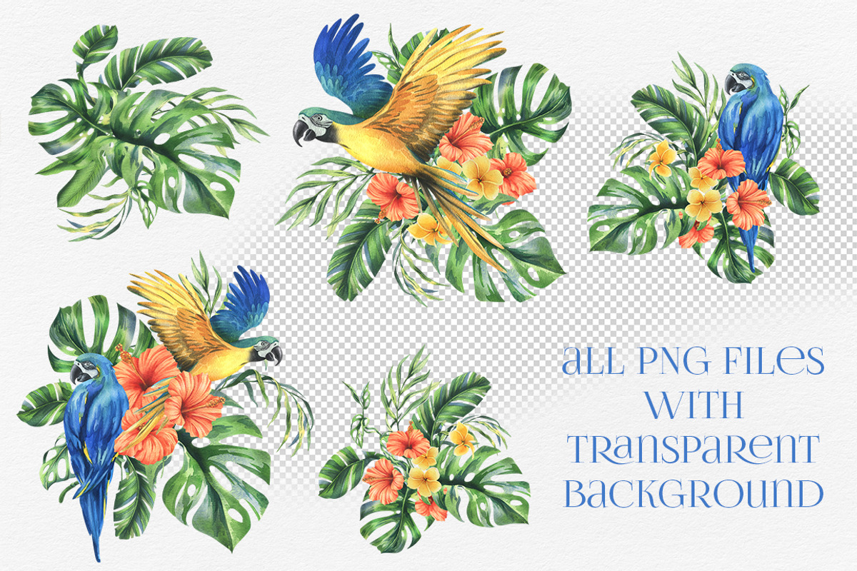 Parrots & tropical leaves watercolor, an Animal Illustration by NATASHA CHU (Photo 4 of 21)