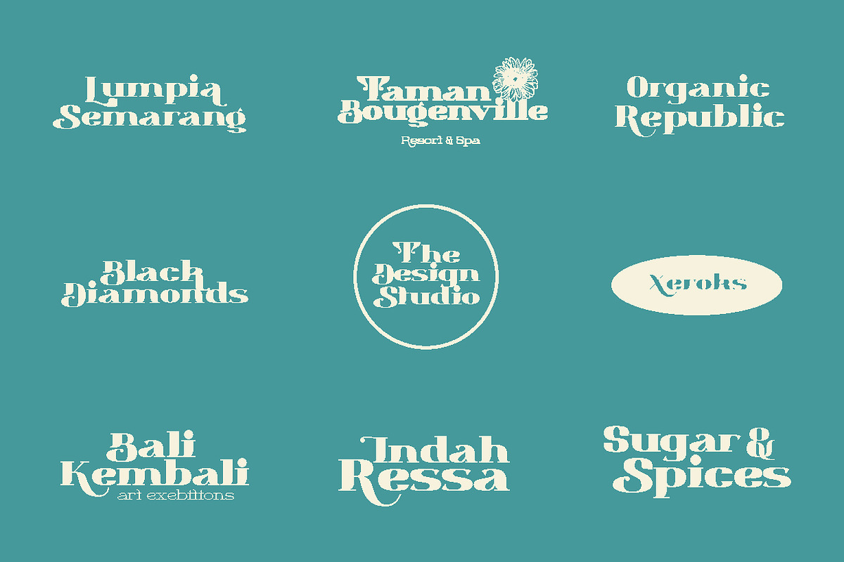 Magento Retro Display Serif Font, a Serif Font by Anomali Creatype (Photo 7 of 12)