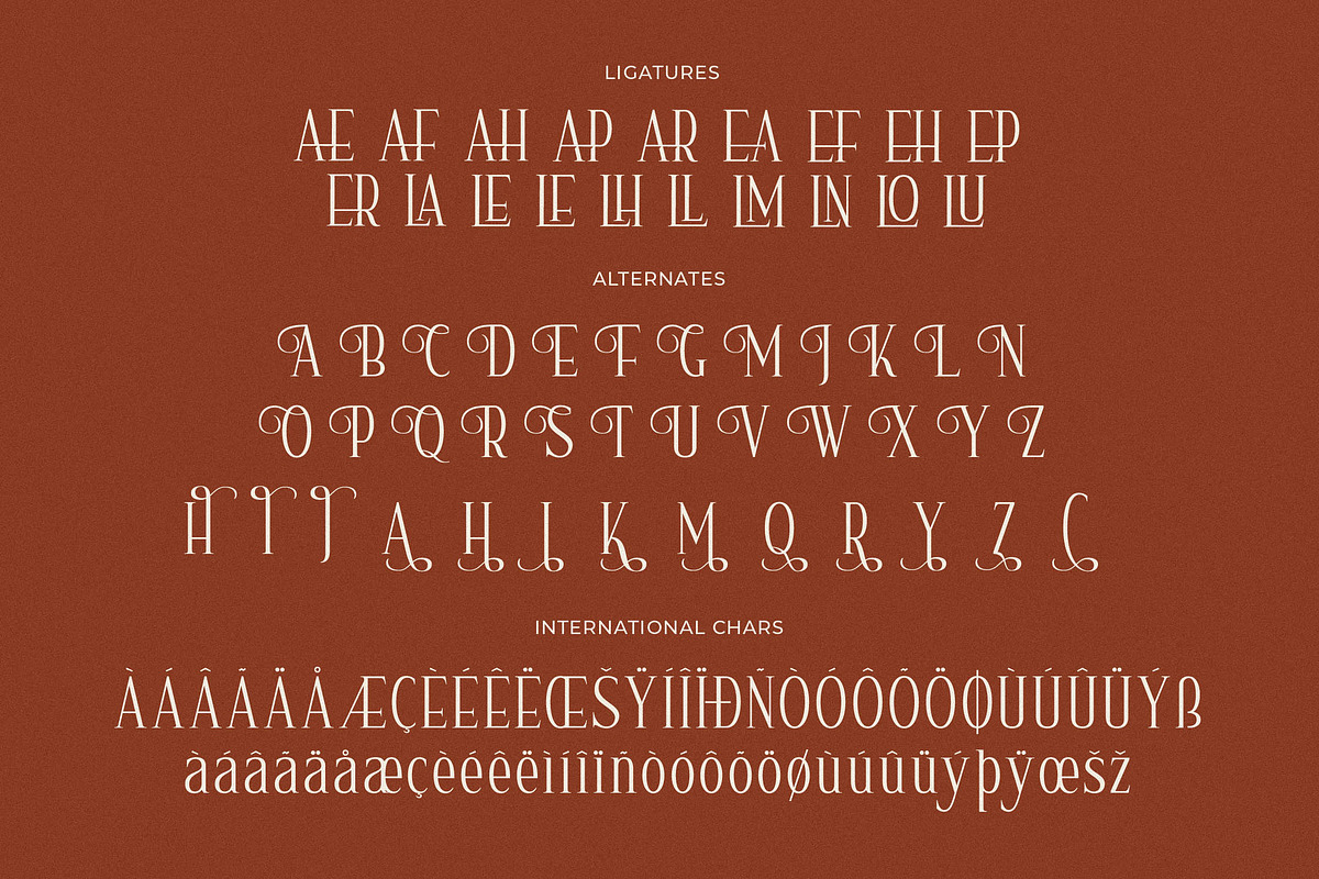 Nerhole Modern Serif Font, a Serif Font by Letterena Studios (Photo 14 of 15)