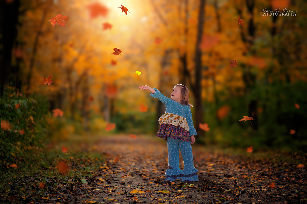 Autumn Backdrops - 7 Digital preview 3