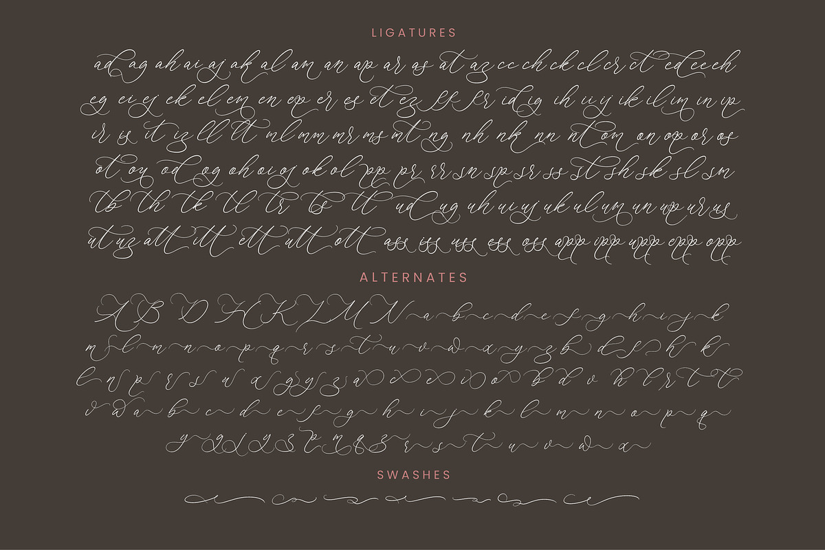 Anchesty Montaine Stylish Font, a Script Font by stylishtype.co (Photo 19 of 20)