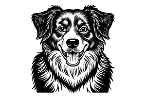 Australian Shepherd, an Illustration by Mark1987