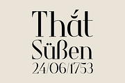 Valerio – Font Family, a Serif Font by Stefano Giliberti (Thumbnail 9 of 10)