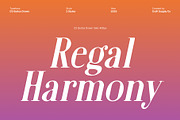CS Quitos Drawn, a Serif Font by Craft Supply Co. (Thumbnail 3 of 8)