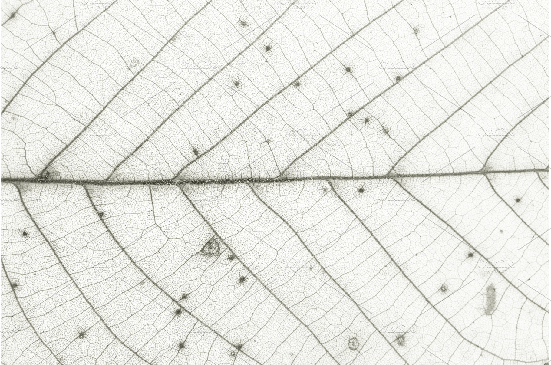 Color of 2026 year dancer in the, an Abstract Photo by Anna Efetova