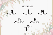 Astelia | Script Font, a Handwritten Font by Scratchones (Thumbnail 8 of 9)