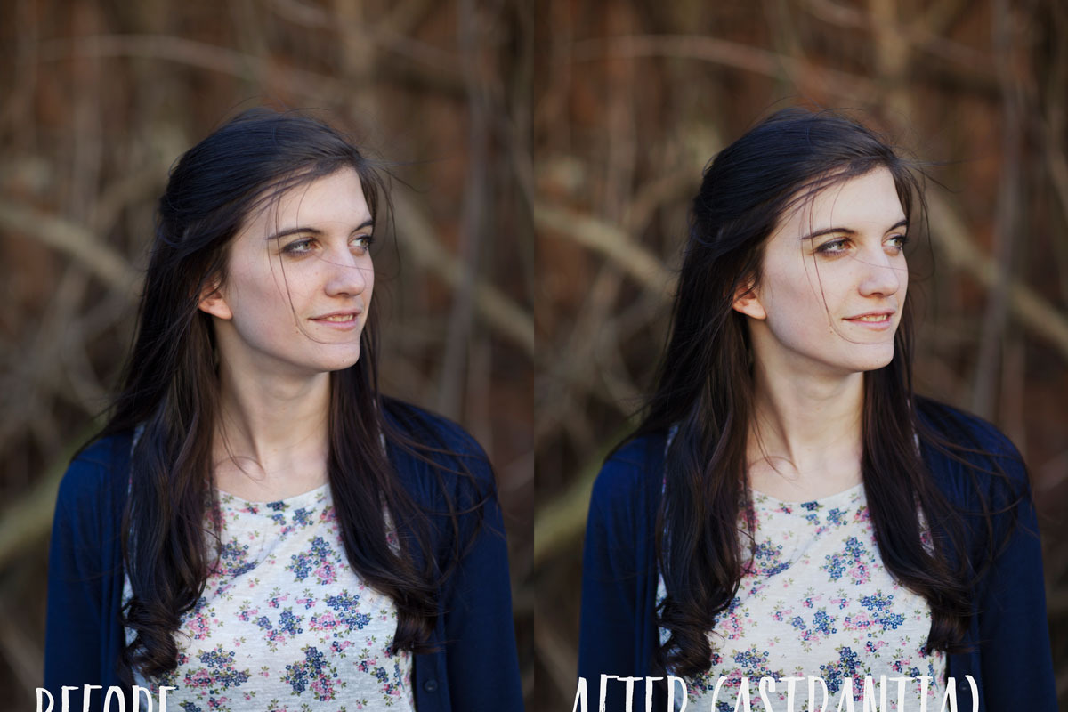 PHOTOSHOP actions set Greenhouse, an Action Add-On by Les Hirondelles Ph (Photo 3 of 10)