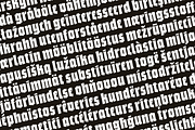 Bork: a blackletter-inspired font, a Blackletter Font by Harbor Type (Thumbnail 5 of 12)