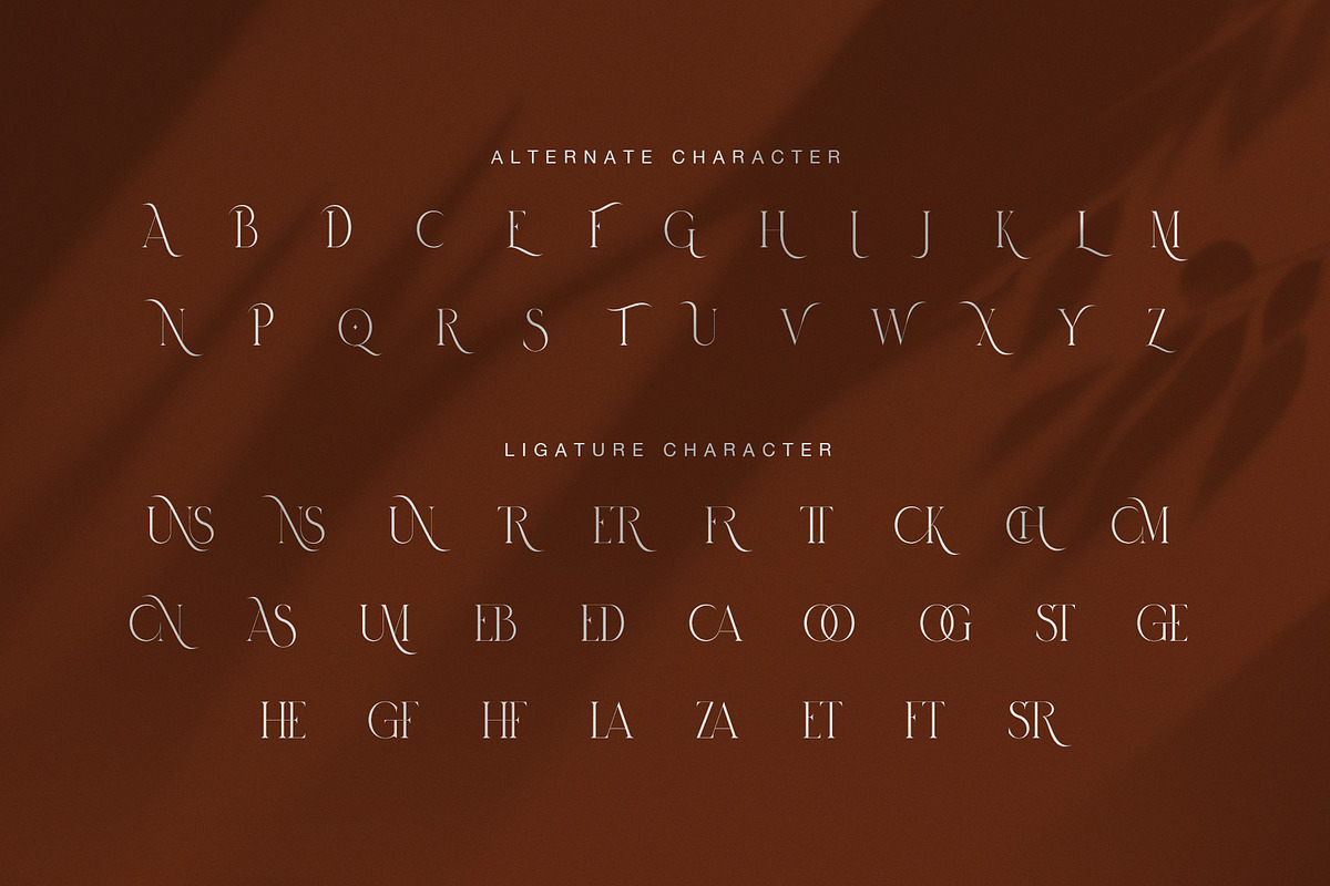 Mounse Elegant Serif Font, a Serif Font by Graphicxell (Photo 7 of 7)